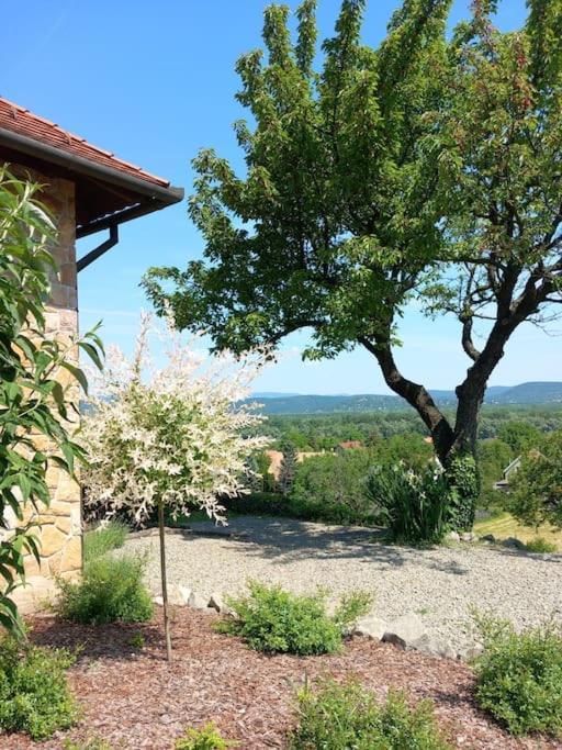 Donauresidenz Apartment Dunabogdany Bagian luar foto
